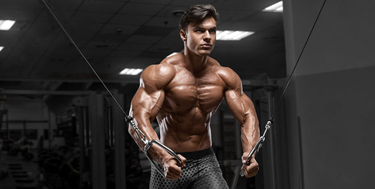 The 8 Best Inner Chest Exercises to Build a Massive Chest – Born Tough